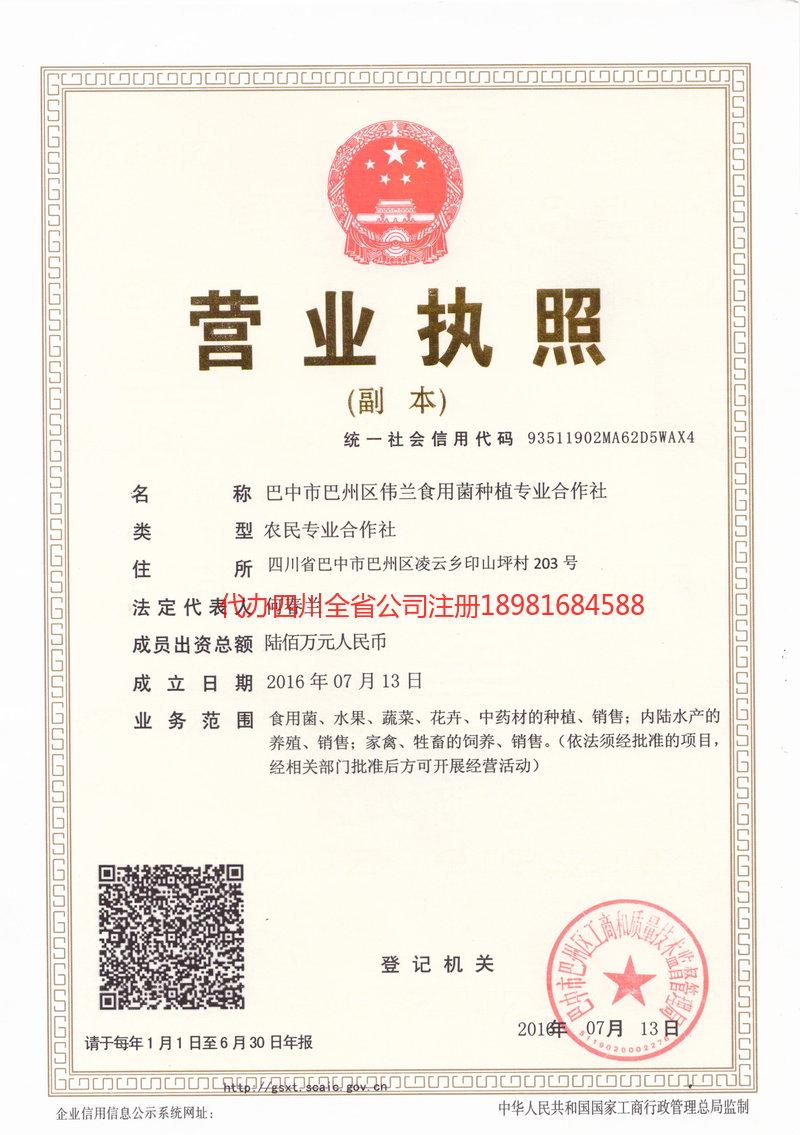 赤水赤水伟兰食用菌种植专业合作社